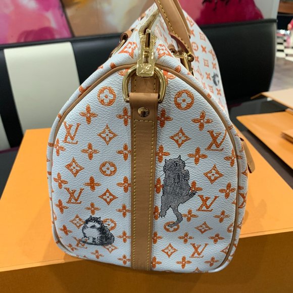 ❌EXCLUSIVE Louis Vuitton Catogram Speedy White Bag - Picture 5 of 14